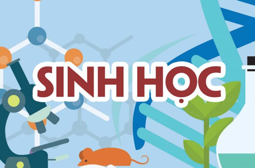  KẾ HOẠCH DẠY HỌC MÔN SINH HỌC